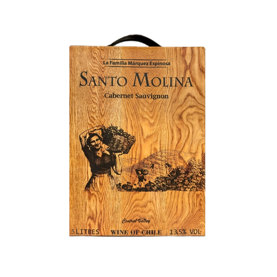 Rượu Vang Bịch Chile Santo Molina Cabernet Sauvignon 5000ml