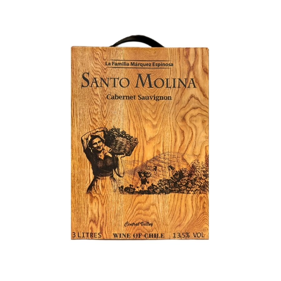 Rượu Vang Bịch Chile Santo Molina Cabernet Sauvignon 3000ml