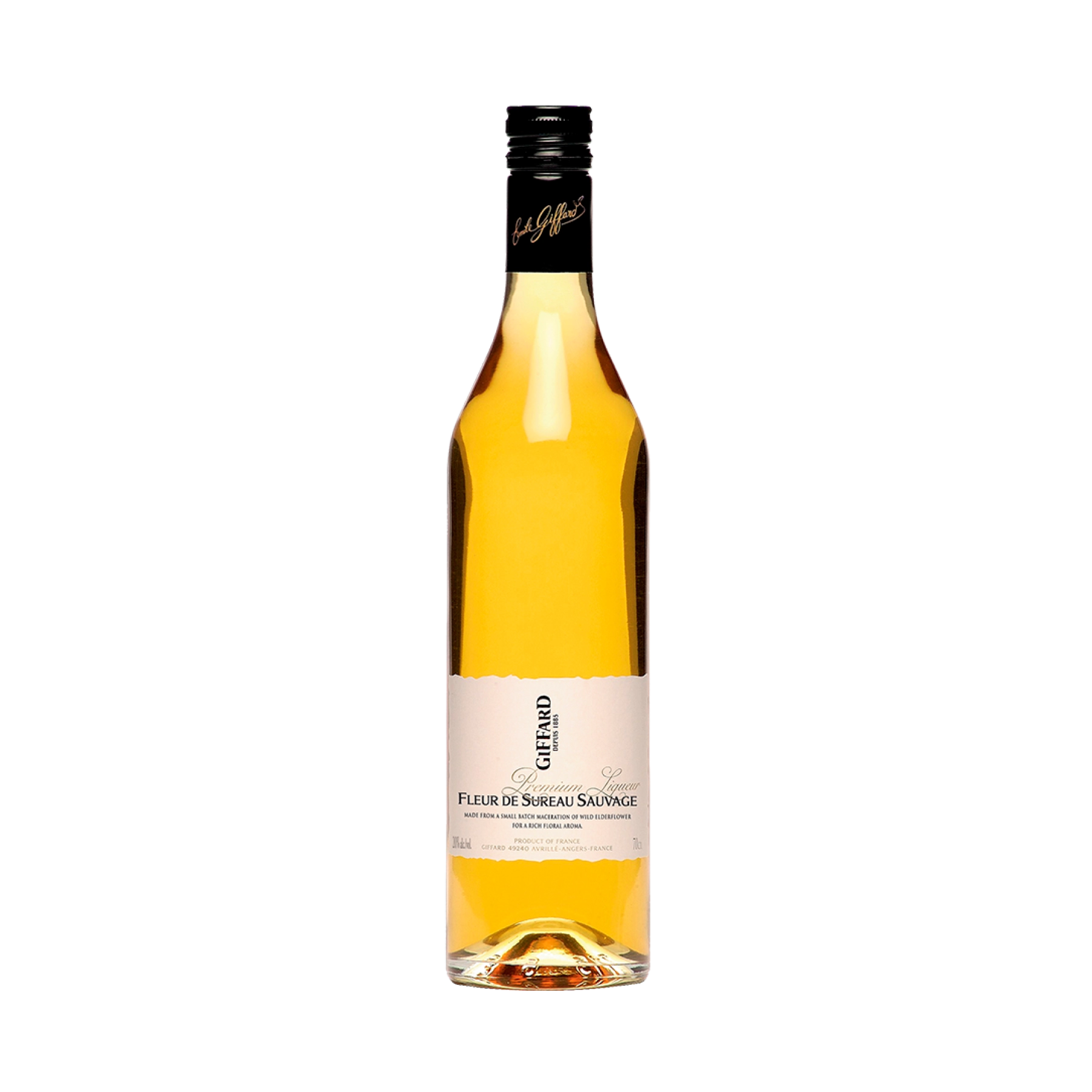 Rượu Liqueur Pháp Giffard Fleur de Sureau Sauvage