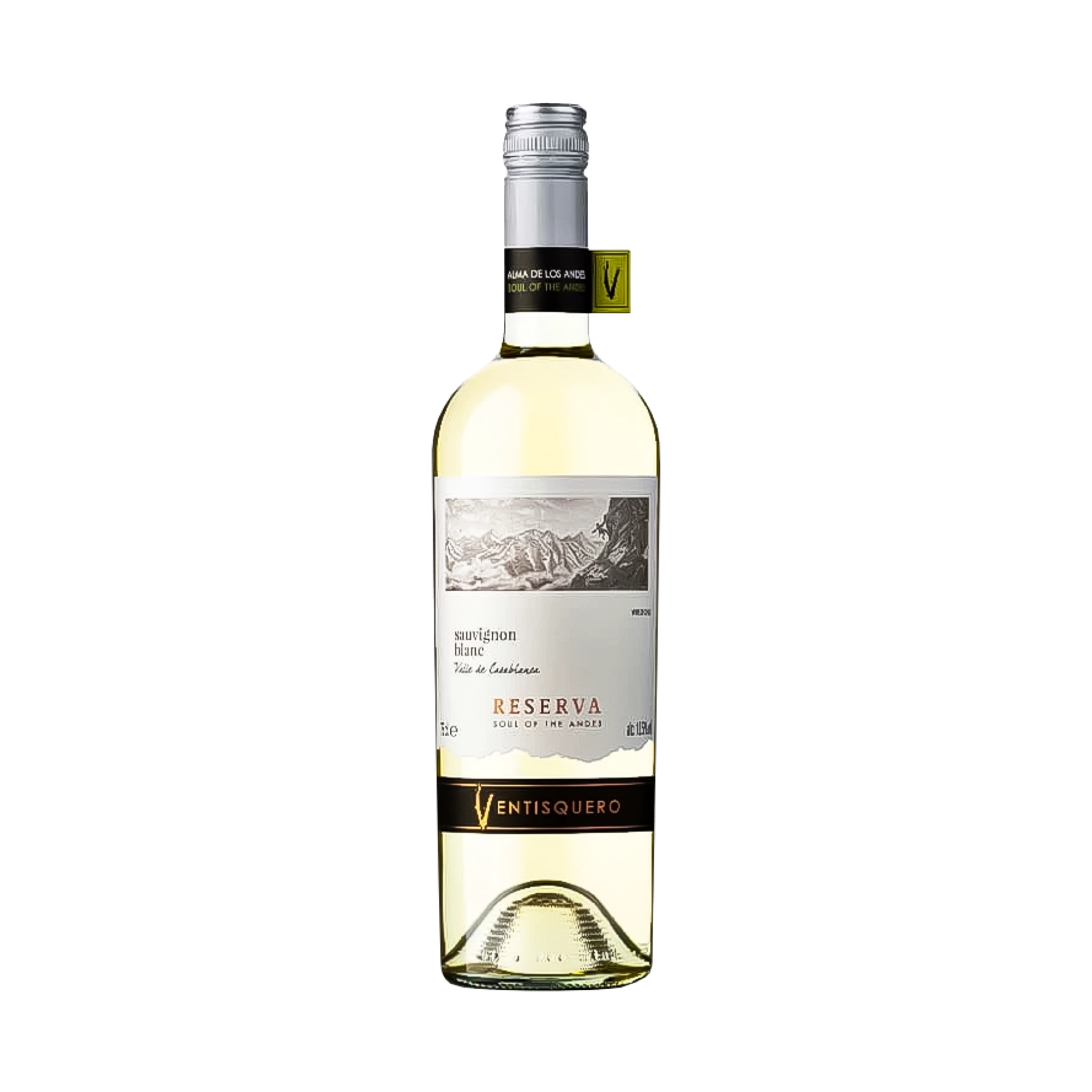 Rượu Vang Trắng Chile Ventisquero Reserva Sauvignon Blanc