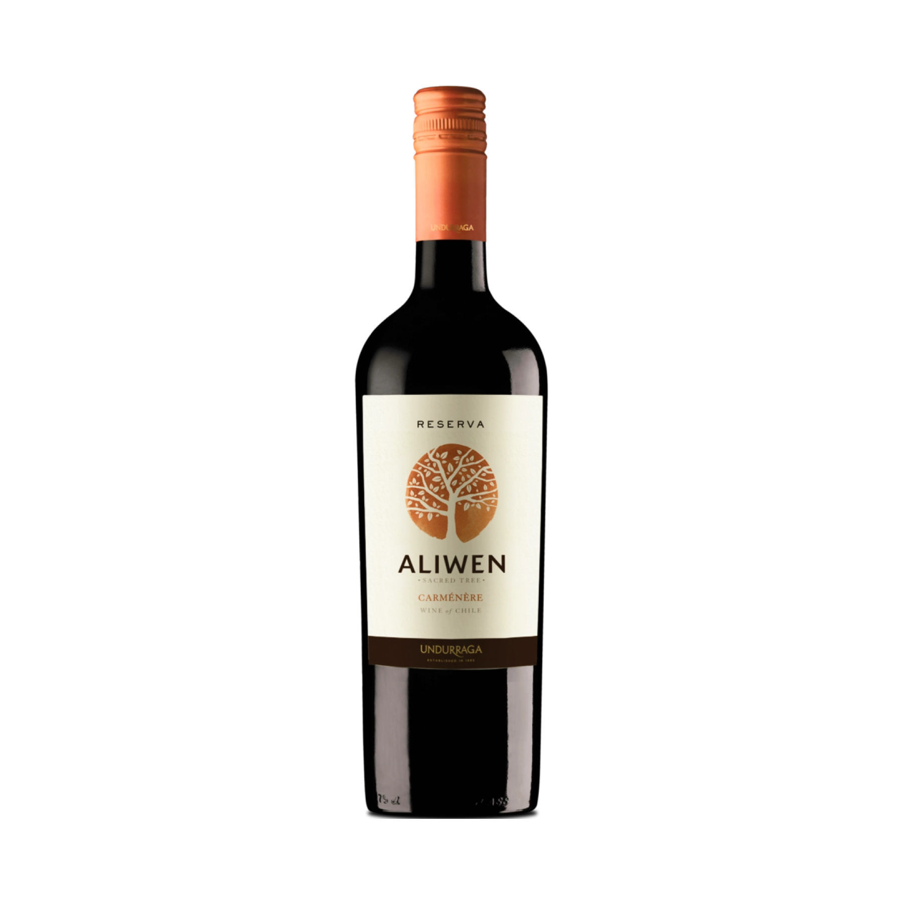 Rượu Vang Đỏ Chile Aliwen Reserva Carmenere