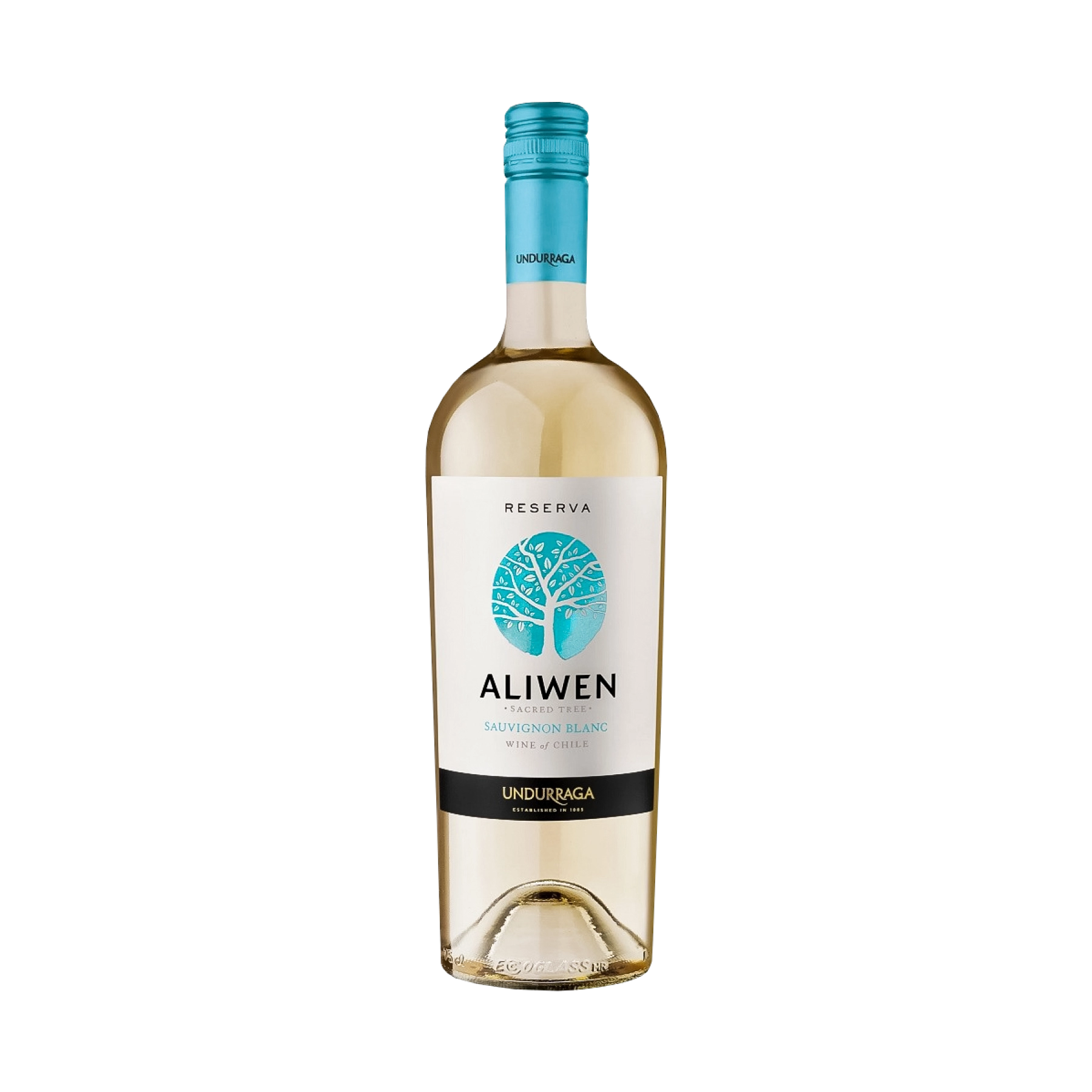 Rượu Vang Trắng Chile Aliwen Reserva Sauvignon Blanc