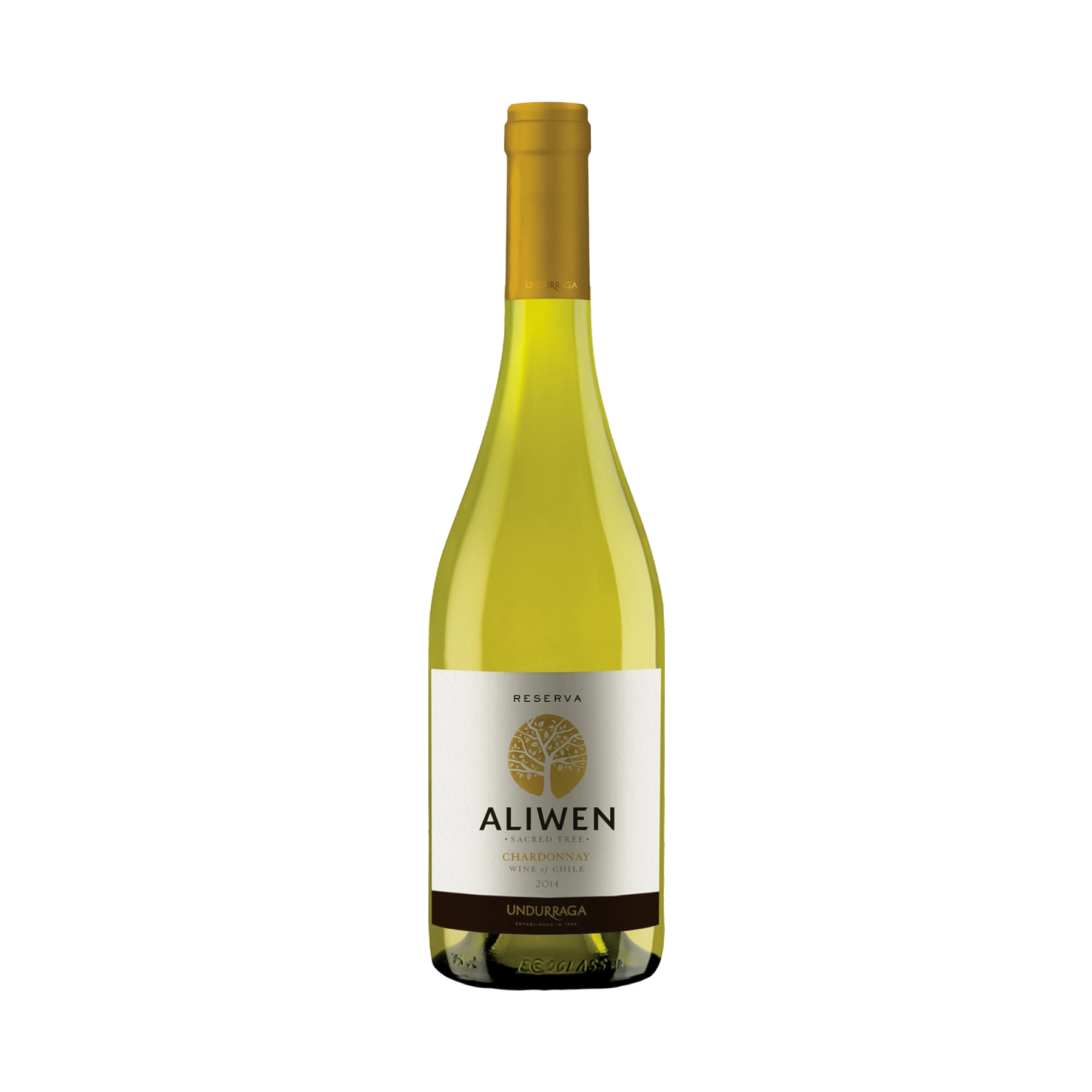 Rượu Vang Trắng Chile Aliwen Reserva Chardonnay