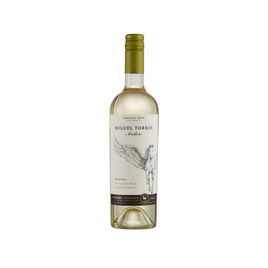 Rượu Vang Trắng Chile Miguel Torres Andica Reserva Sauvignon Blanc