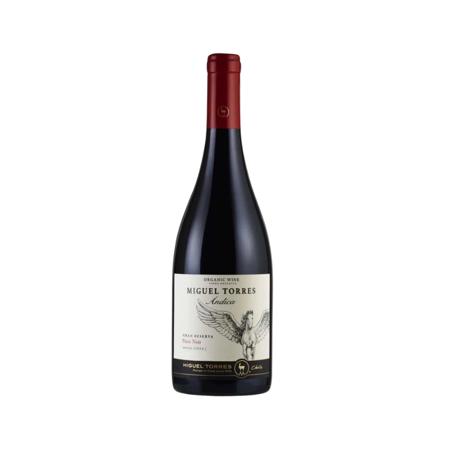 Rượu Vang Đỏ Chile Miguel Torres Andica Gran Reserva Pinot Noir