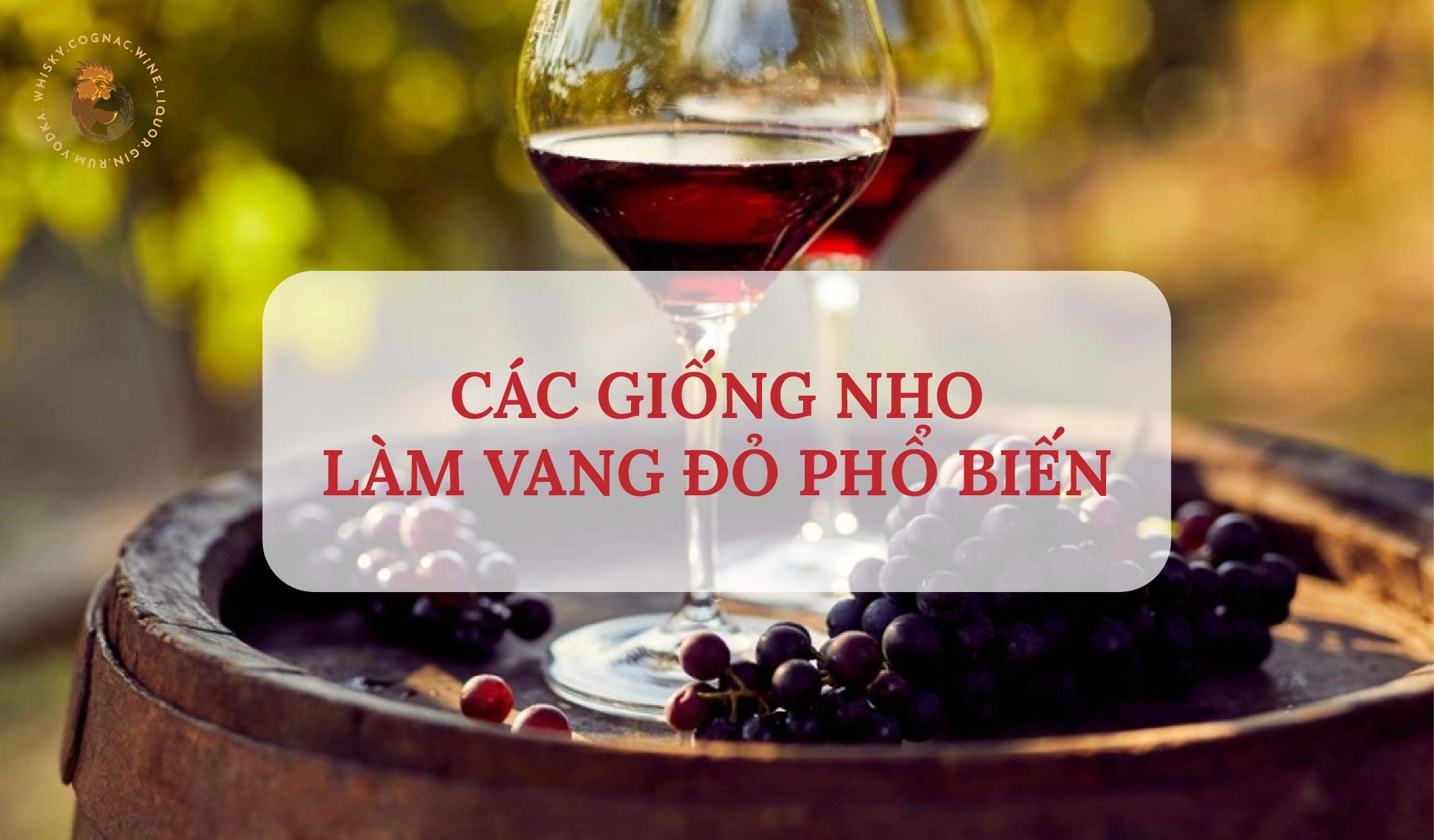 Các Giống Nho Làm Rượu Vang Đỏ Phổ Biến Nhất Và Hương Vị Của Chúng