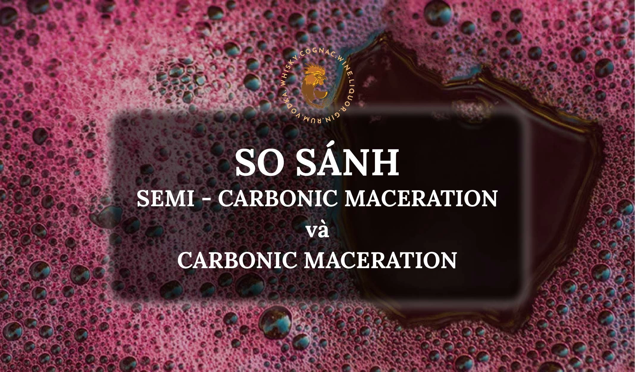 Sự Khác Nhau Giữa 2 Kỹ Thuật: Semi-Carbonic Maceration Và Carbonic Maceration