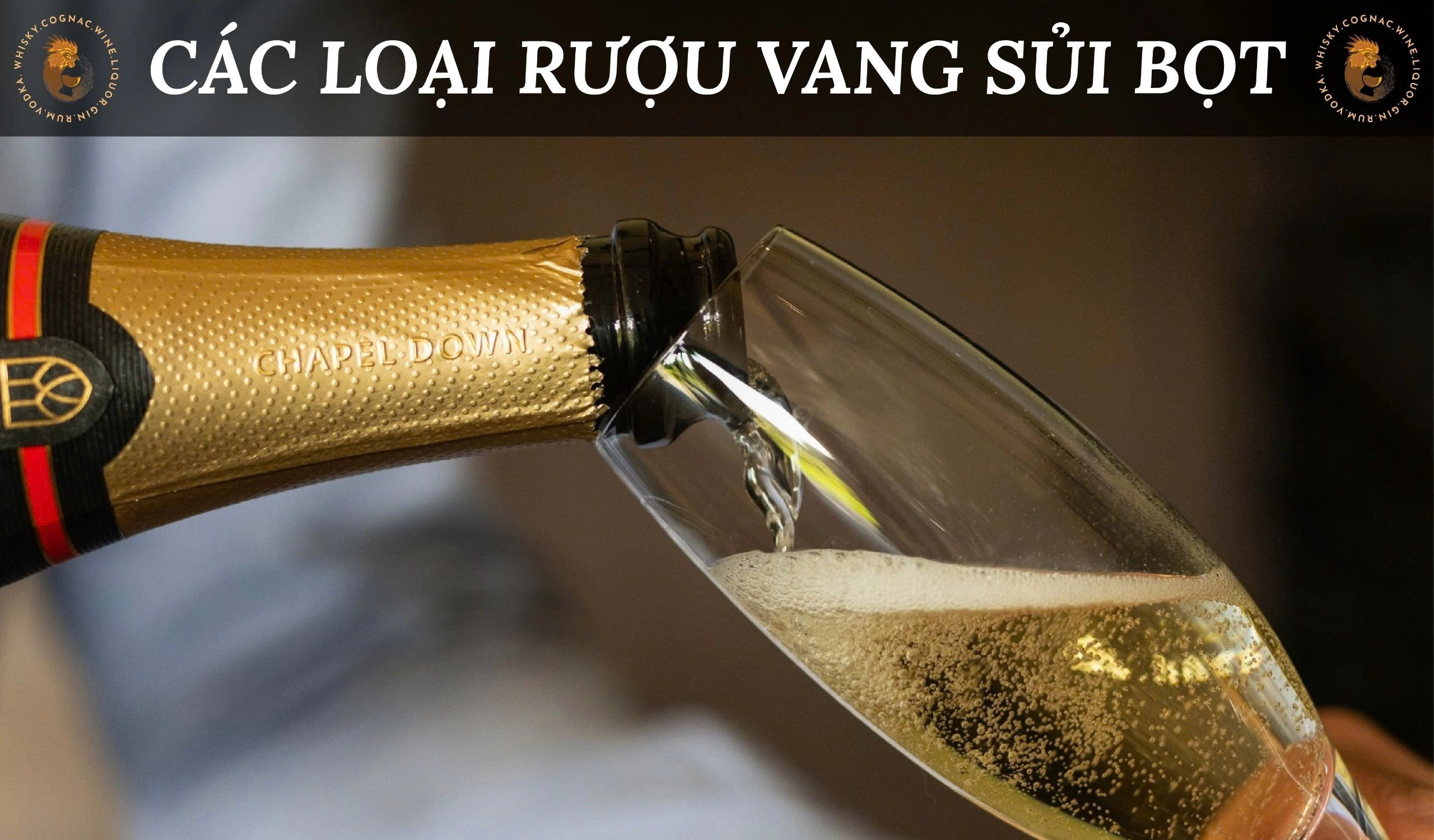 Các Phong Cách Và Loại Rượu Vang Sủi Bọt/ Sparkling Hiện Nay