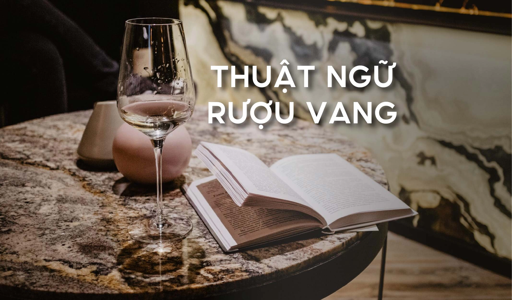 Giải Mã Những Thuật Ngữ Thông Dụng Nhất Trong Thế Giới Rượu Vang