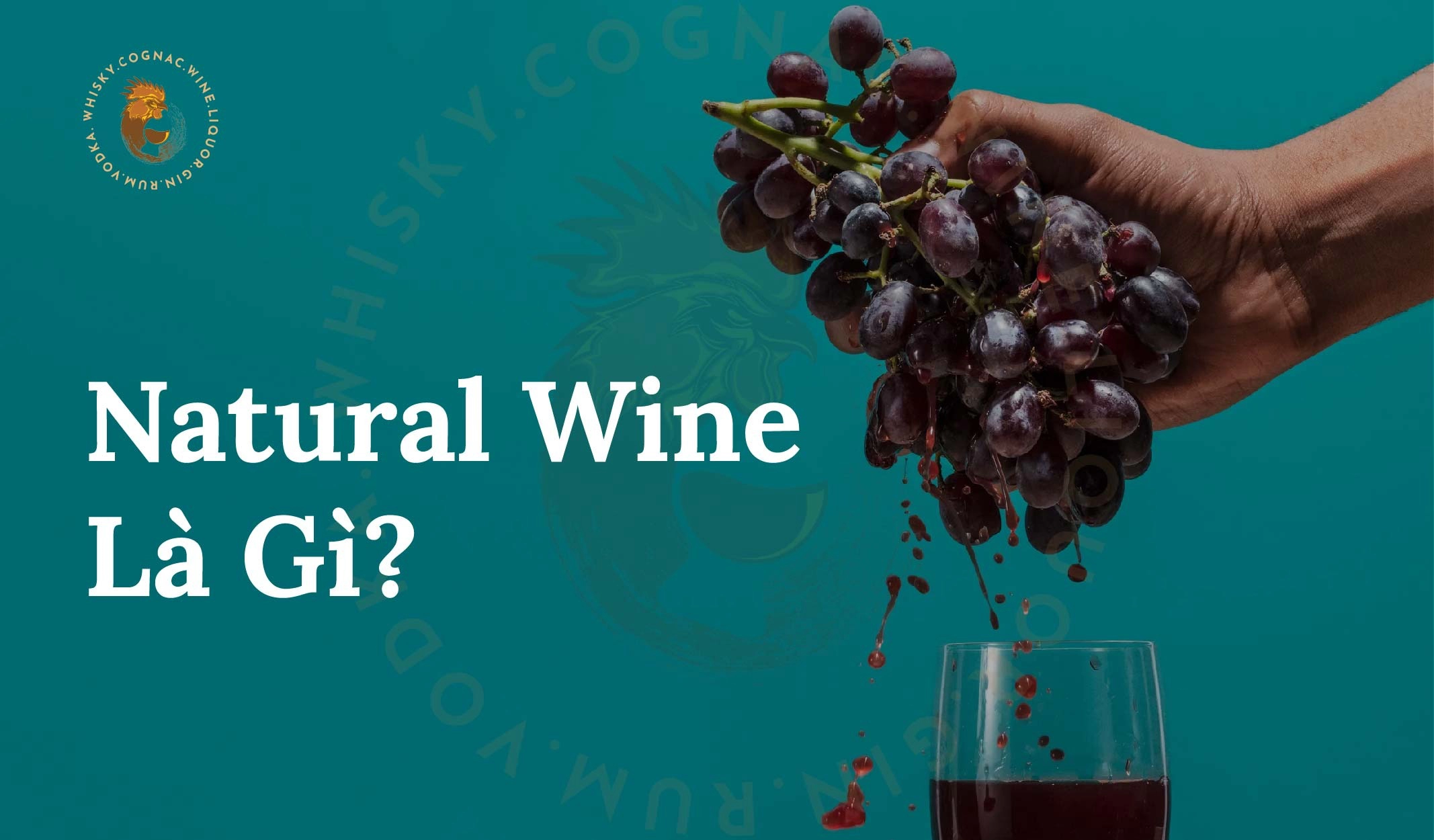 Rượu Vang Tự Nhiên (Natural Wine) Thực Chất Là Gì?