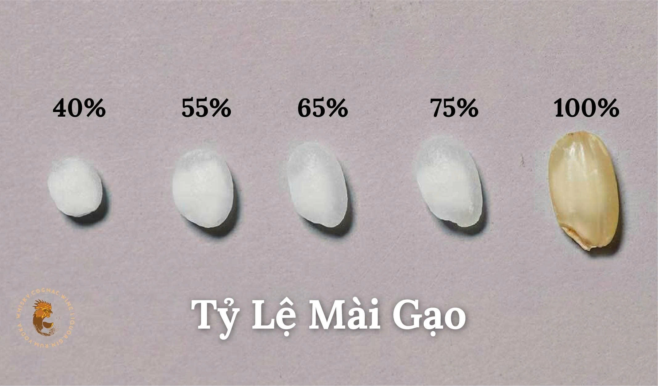 Tỷ Lệ Mài Gạo (Rice Polishing Ratio) Trong Làm Rượu Sake