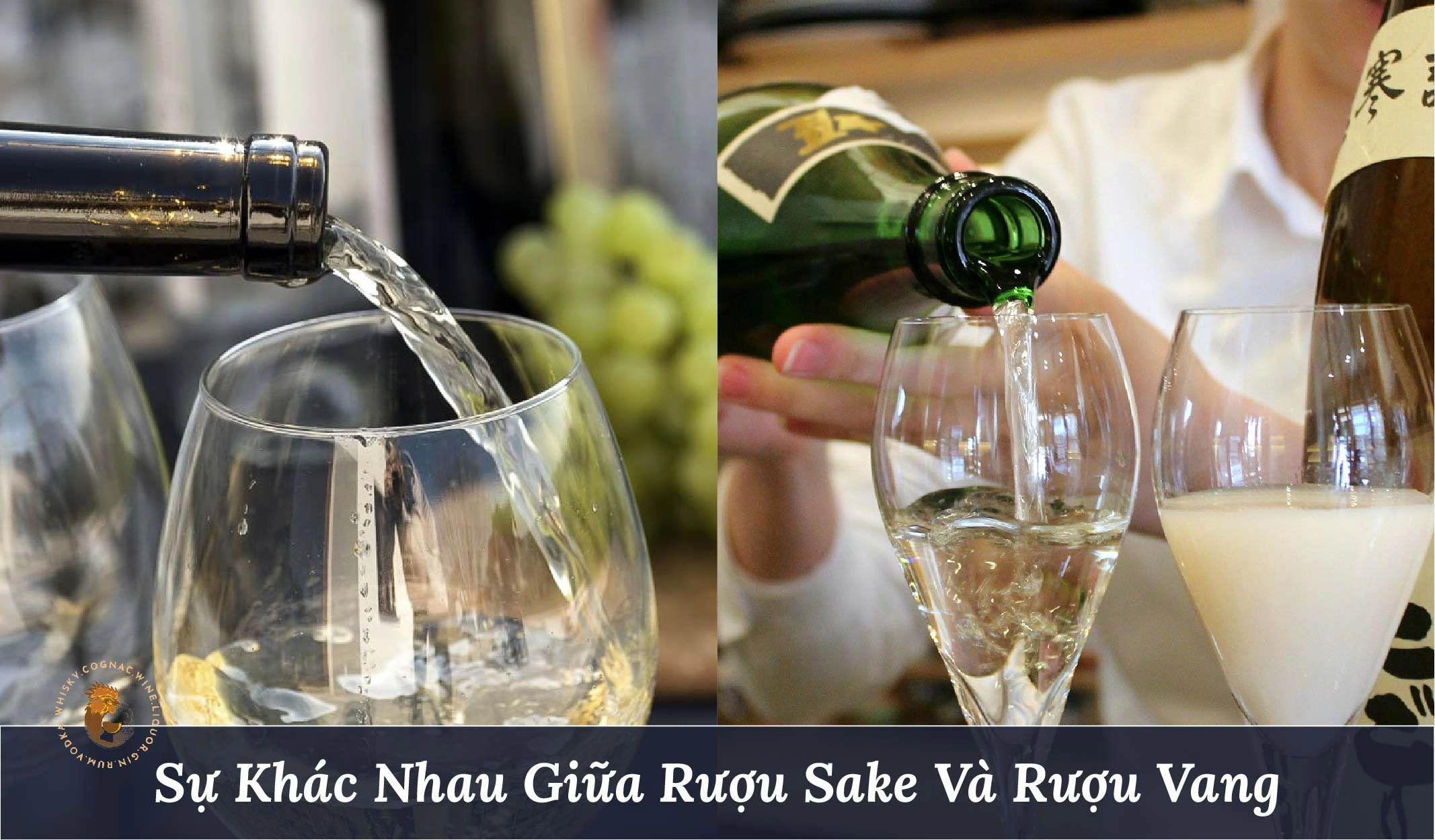 Những Điểm Khác Biệt Chính Giữa Rượu Sake Và Rượu Vang