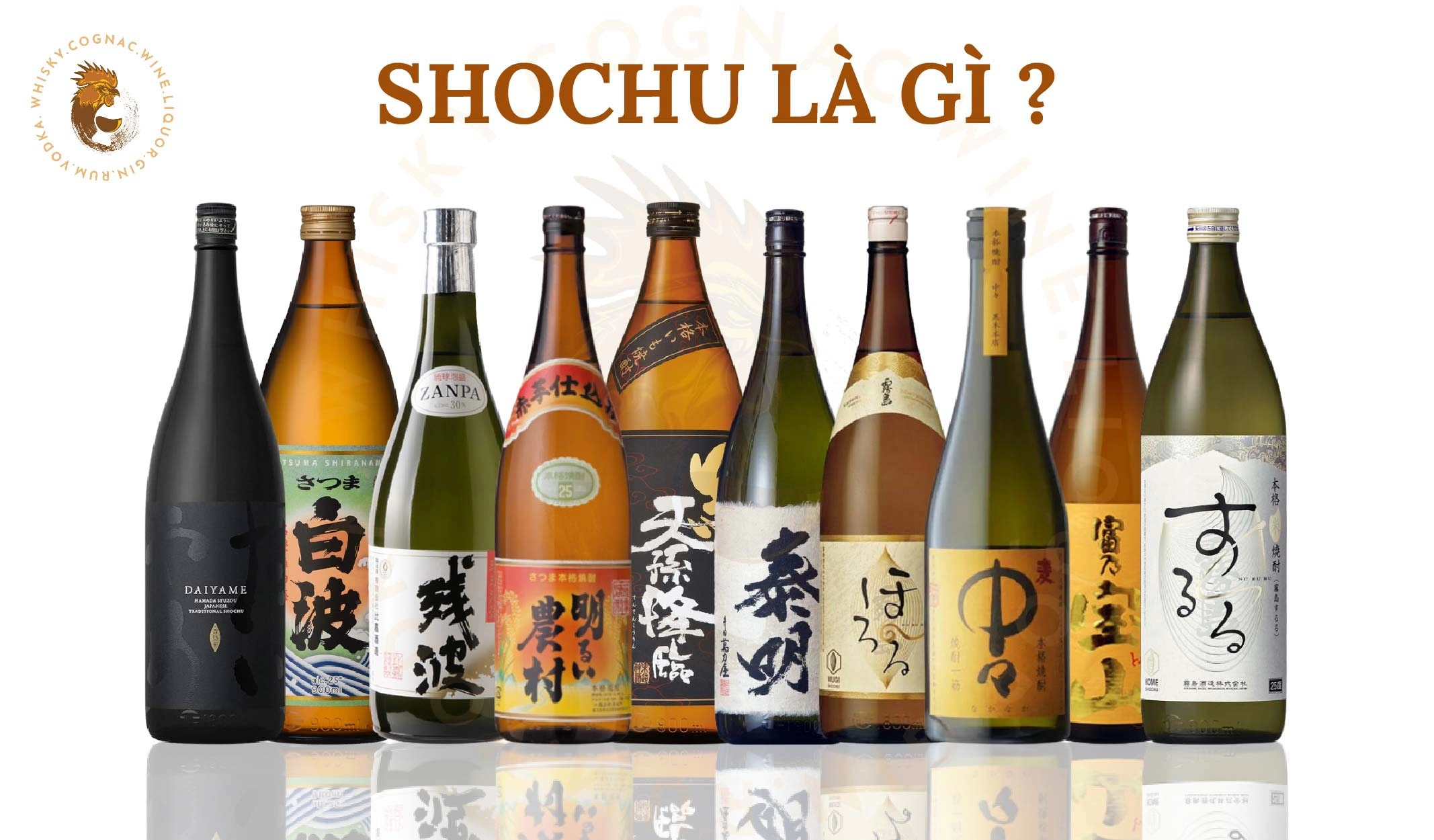 Shochu Là Gì? Các Loại Shochu Phổ Biến Và Cách Thưởng Thức