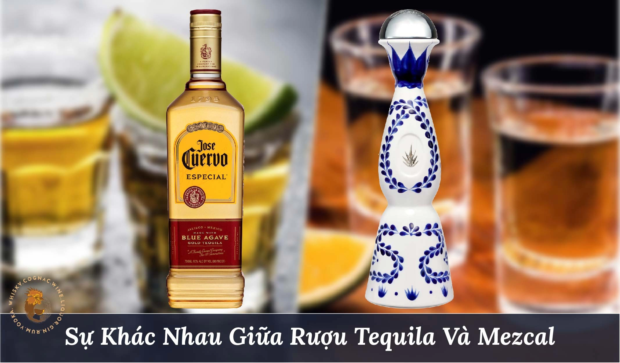 Sự Khác Biệt Giữa Tequila Và Mezcal: Hai Loại Rượu Độc Đáo Từ Mexico