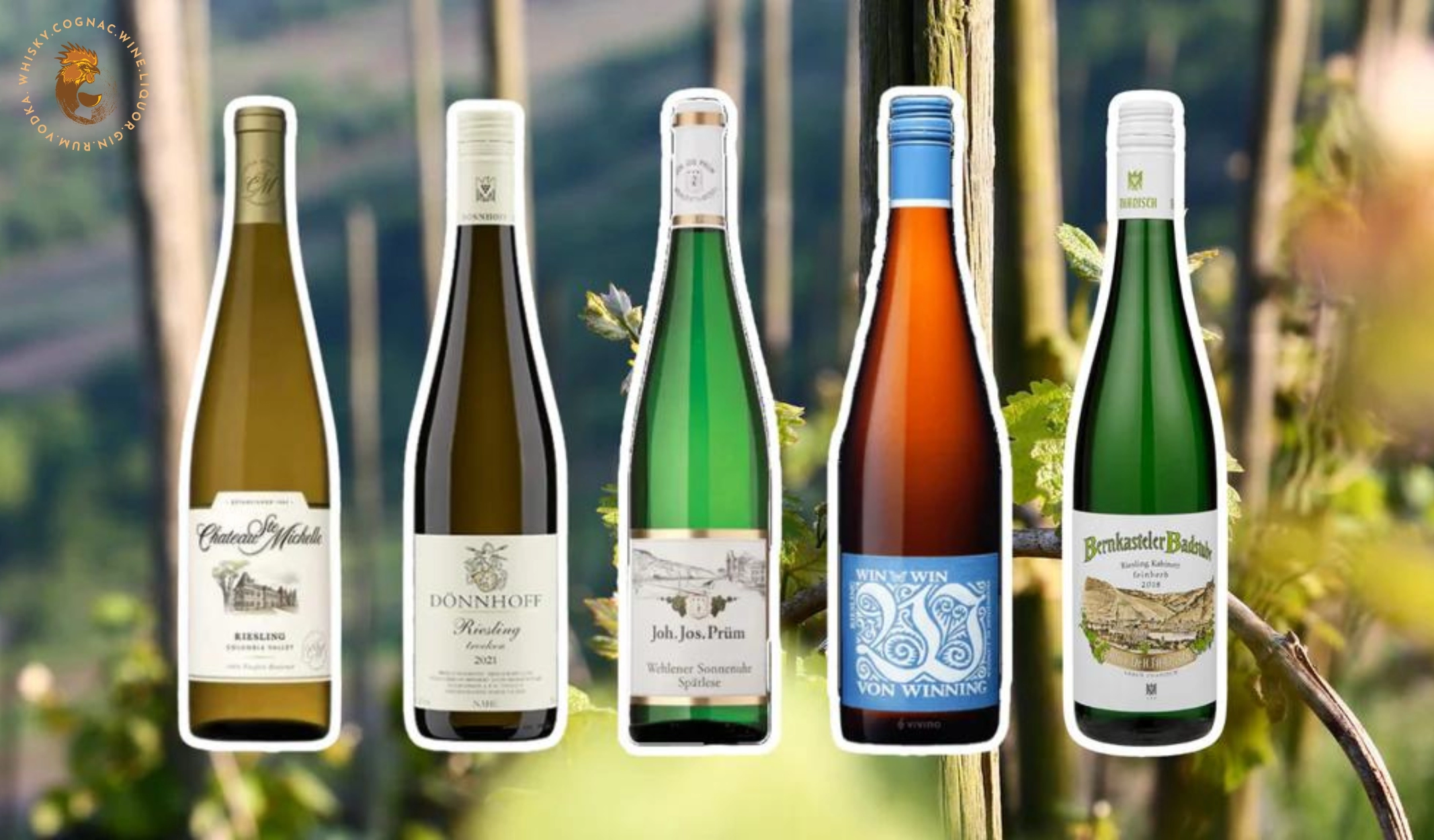 Riesling Là Gì? Giải Mã Phong Cách Rượu Vang Đức Phổ Biến