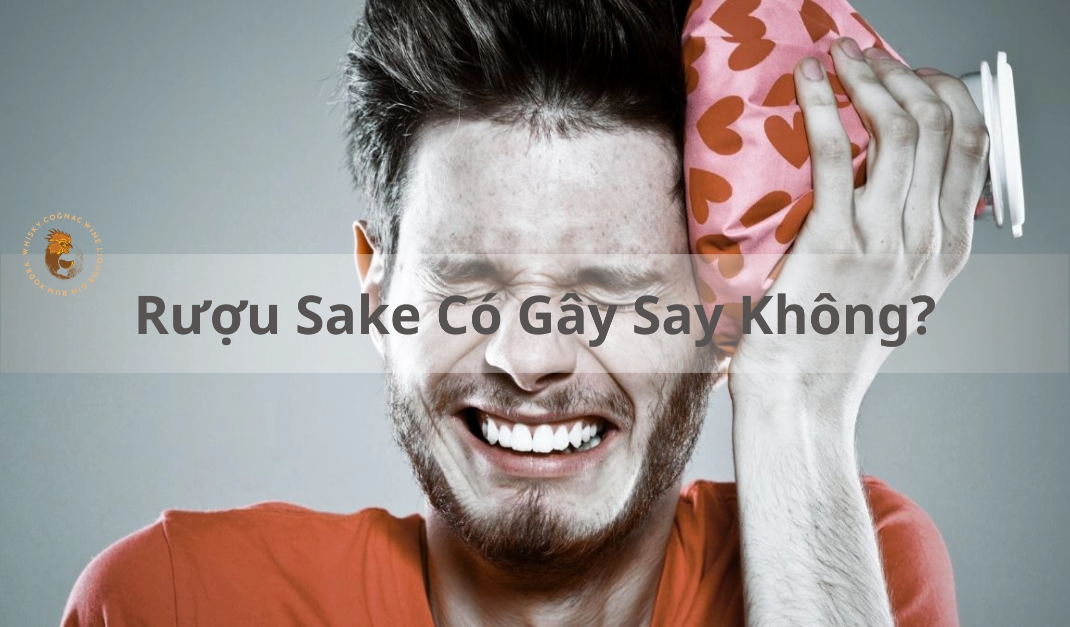 Rượu Sake Có Gây Say Không Và Phải Làm Gì Khi Bị Say?