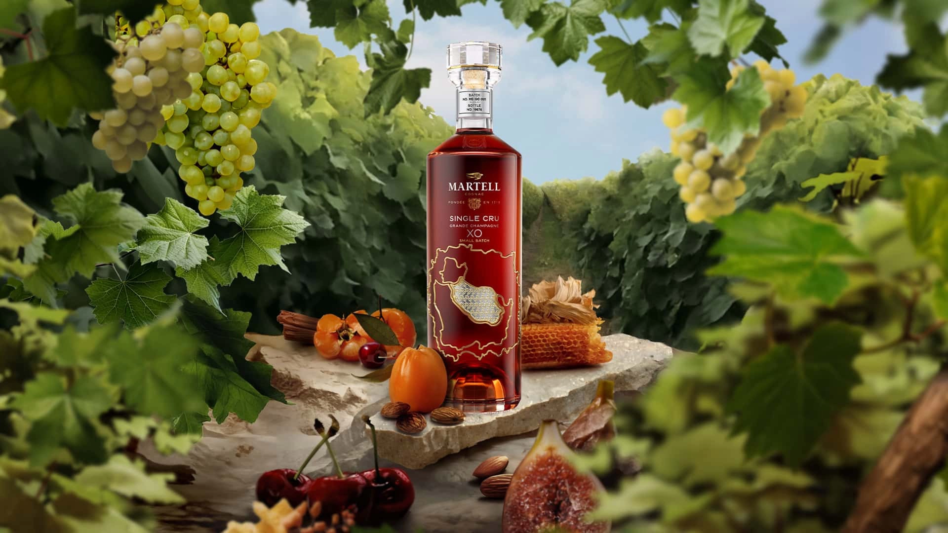 Chiến Lược Trồng Nho Mới Của Martell Cho Tương Lai Của Cognac