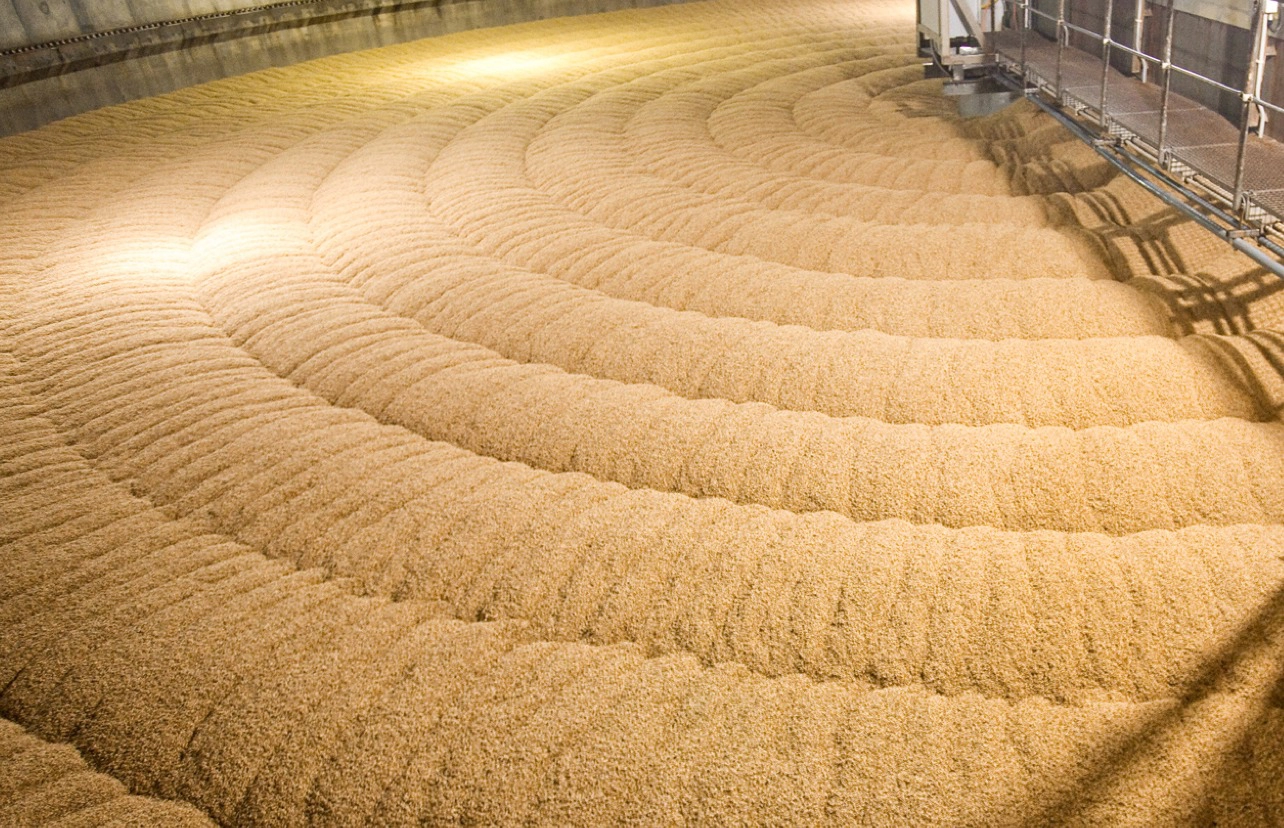 Những Điều Cần Biết Về Malt: Nguyên Liệu Tạo Nên Hương Vị Whisky