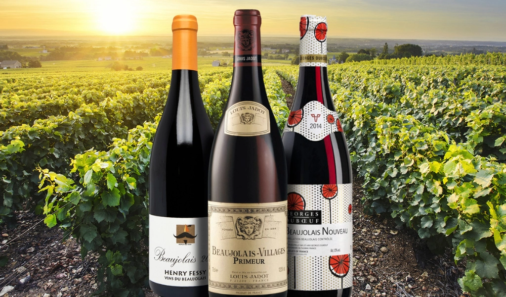 Khám Phá Rhône Valley: Tóm Lược Các Dòng Rượu Rhône Của Pháp