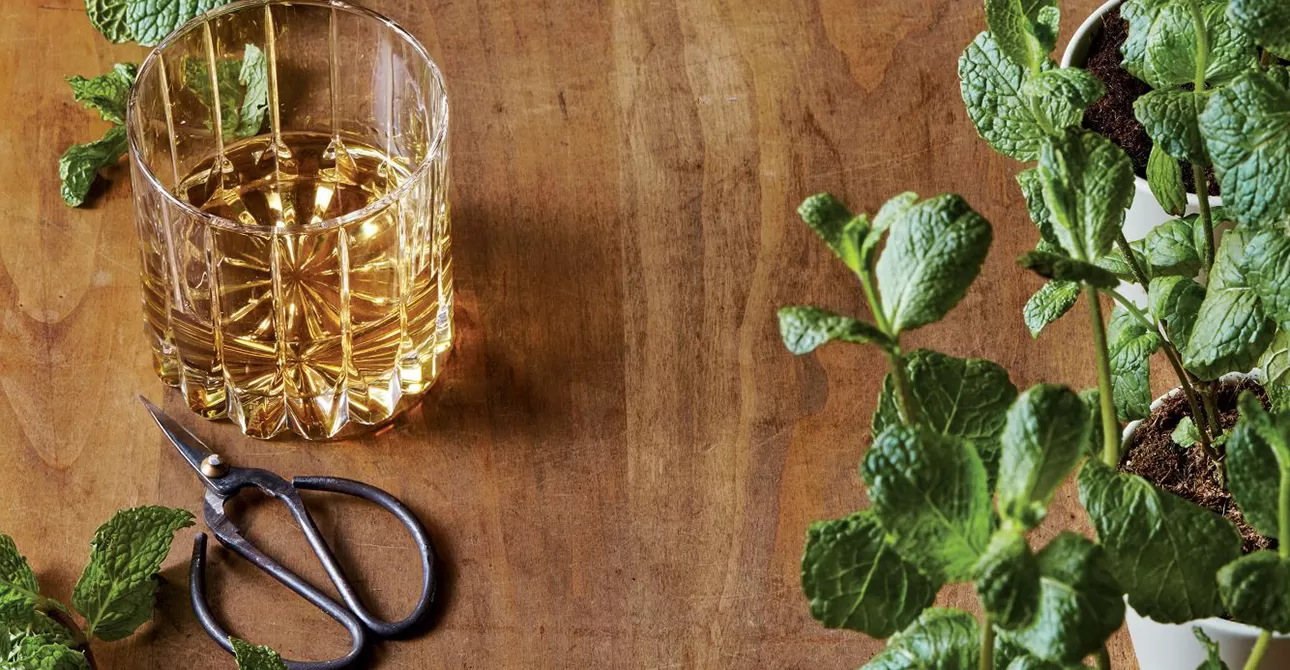 Cách Nhận Biết Hương Vị Bạc Hà Trong Rượu Whisky