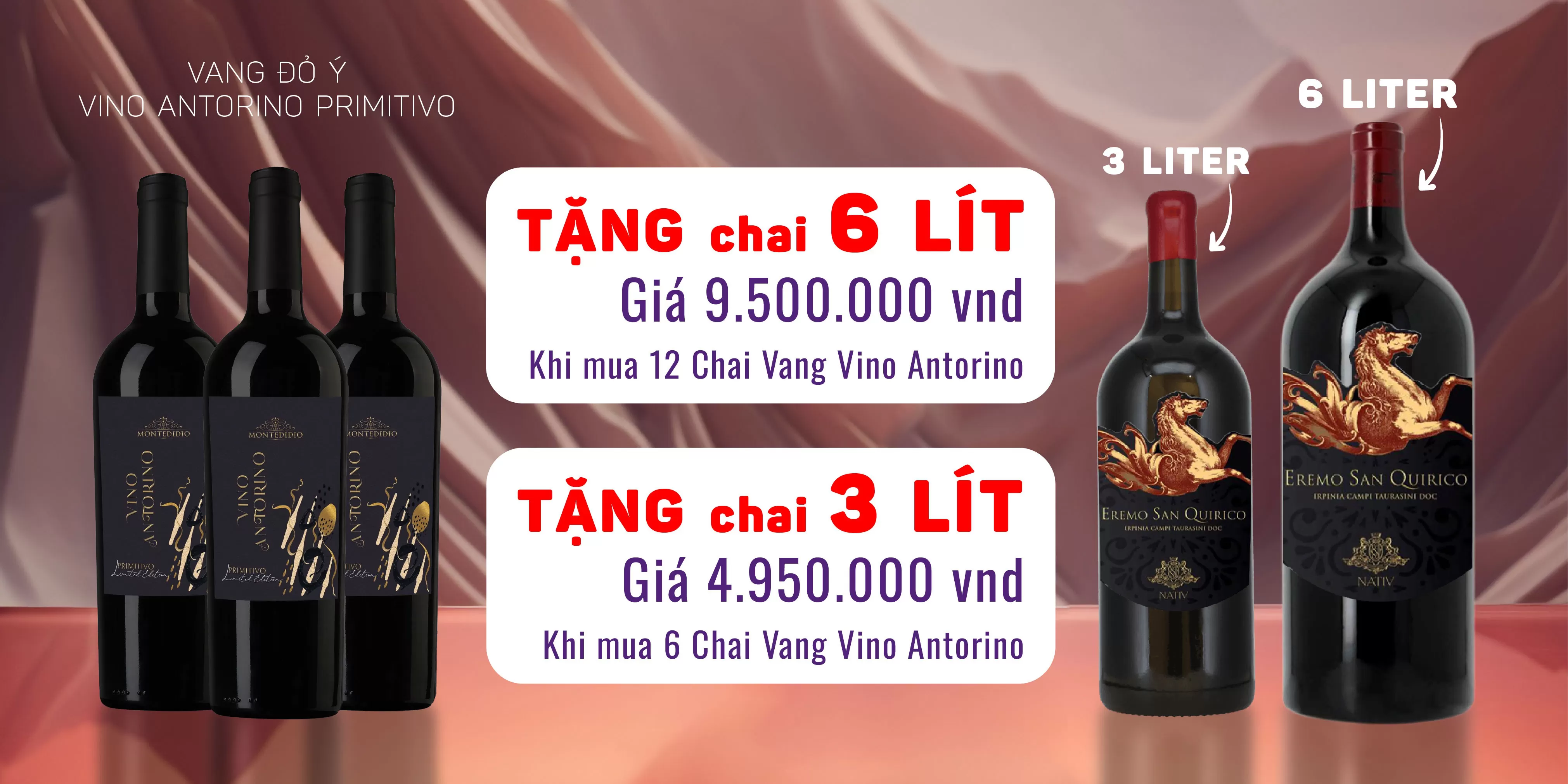 KHUYẾN MÃI TỪ THƯƠNG HIỆU MONTEDIDIO
