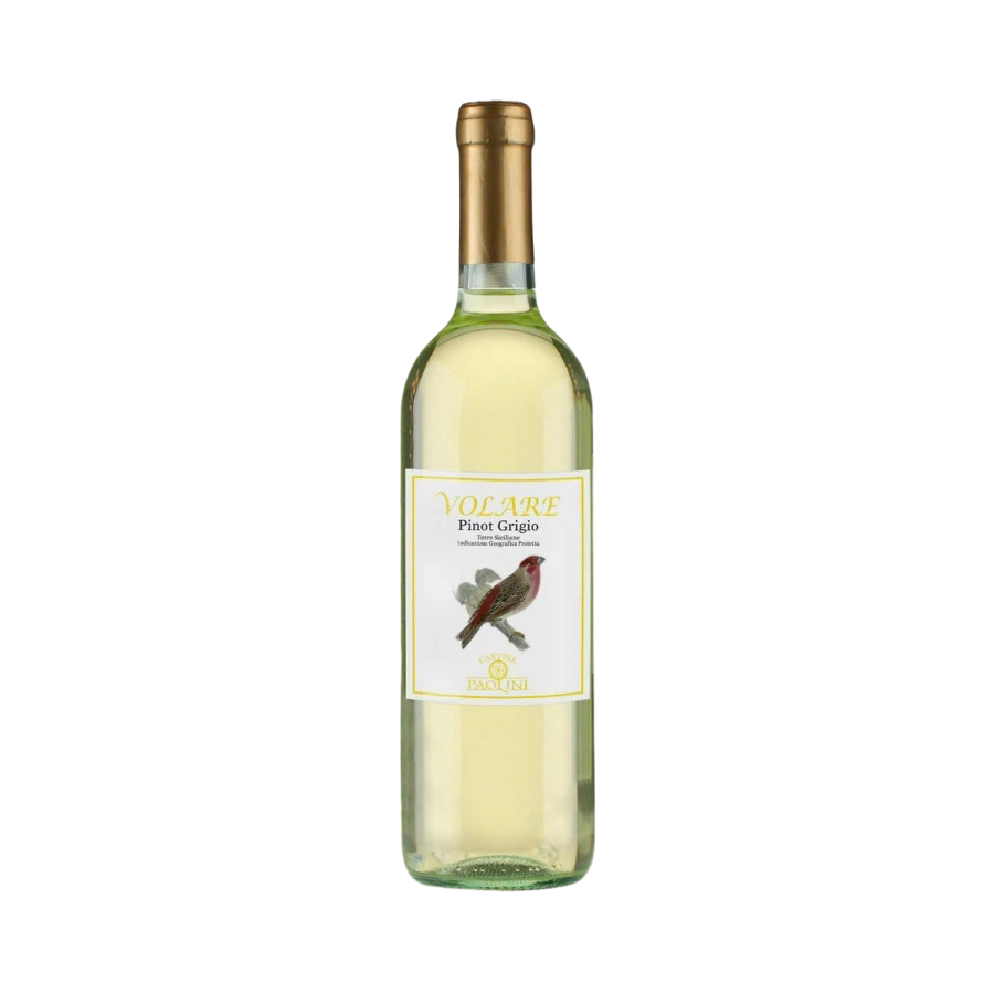 Rượu Vang Trắng Ý Cantine Paolini Volare Pinot Grigio
