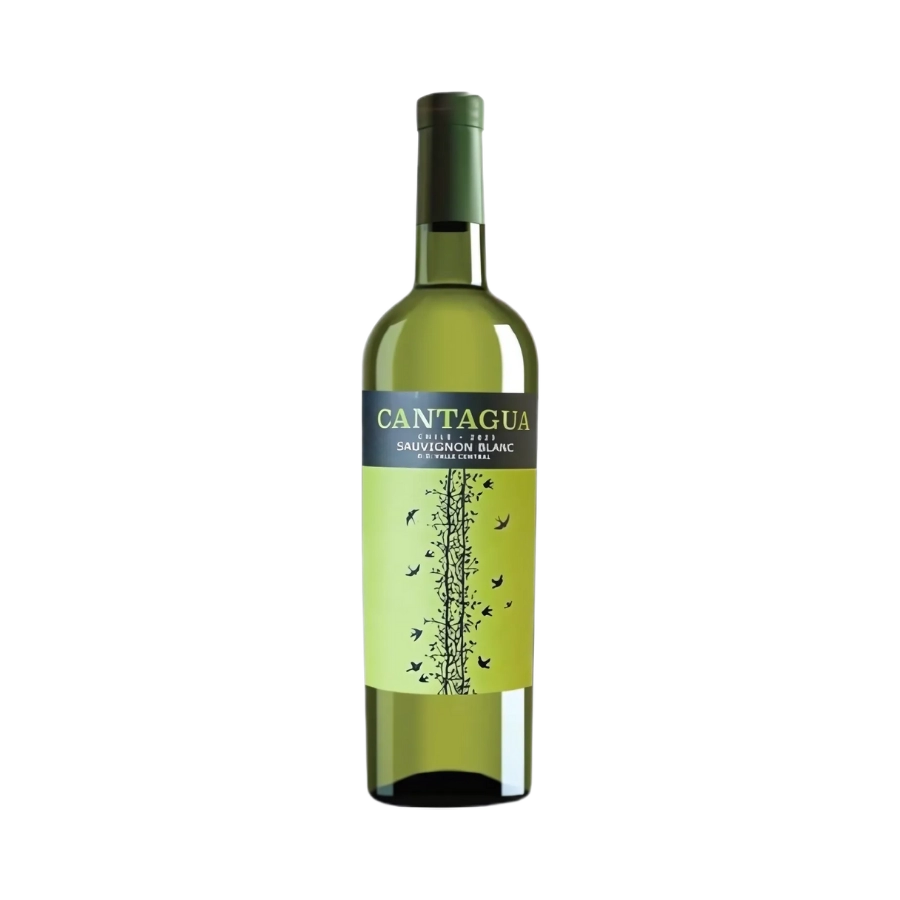 Rượu Vang Trắng Chile Cantagua Sauvignon Blanc 2022