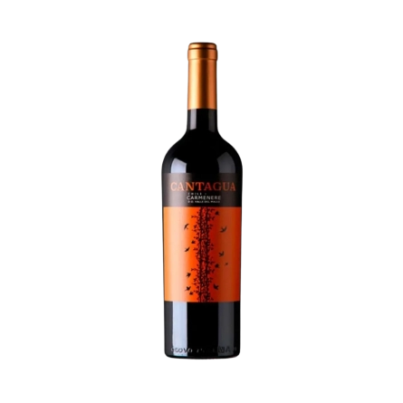 Rượu Vang Đỏ Chile Cantagua Carmenere