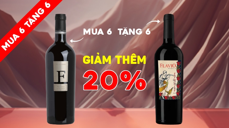 MUA 6 TẶNG 6