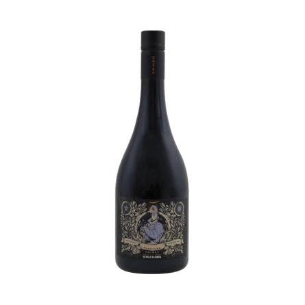 Rượu Vang Đỏ Argentina Kaiken Aventura Malbec Valle de Canota