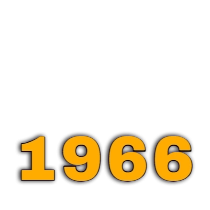 Rượu năm sinh 1966 Bính Ngọ