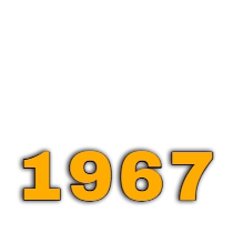 Rượu năm sinh 1967 Đinh Mùi