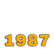 Rượu năm sinh 1987 Đinh Mão