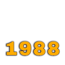 Rượu năm sinh 1988 Mậu Thìn