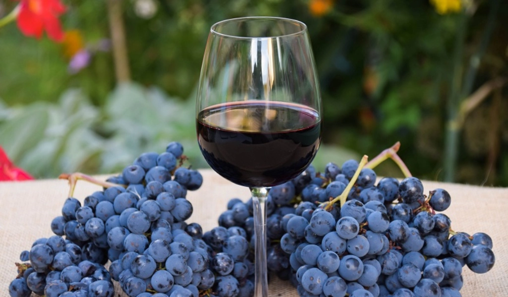 Nho Malbec Rượu Vang Đỏ