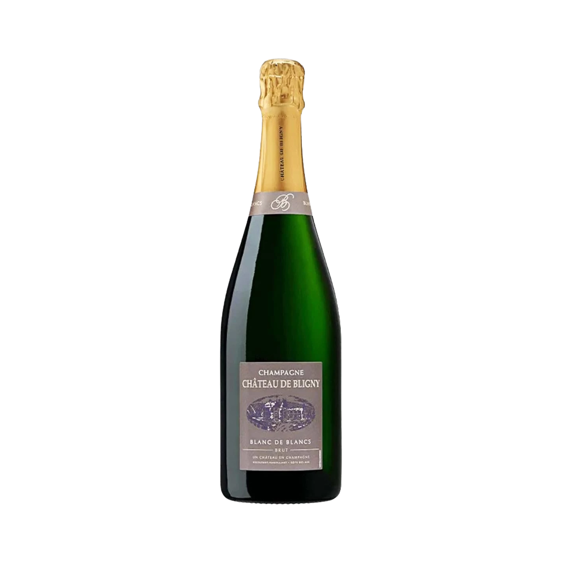 Rượu Champagne Pháp Chateau de Bligny Blanc de Blancs