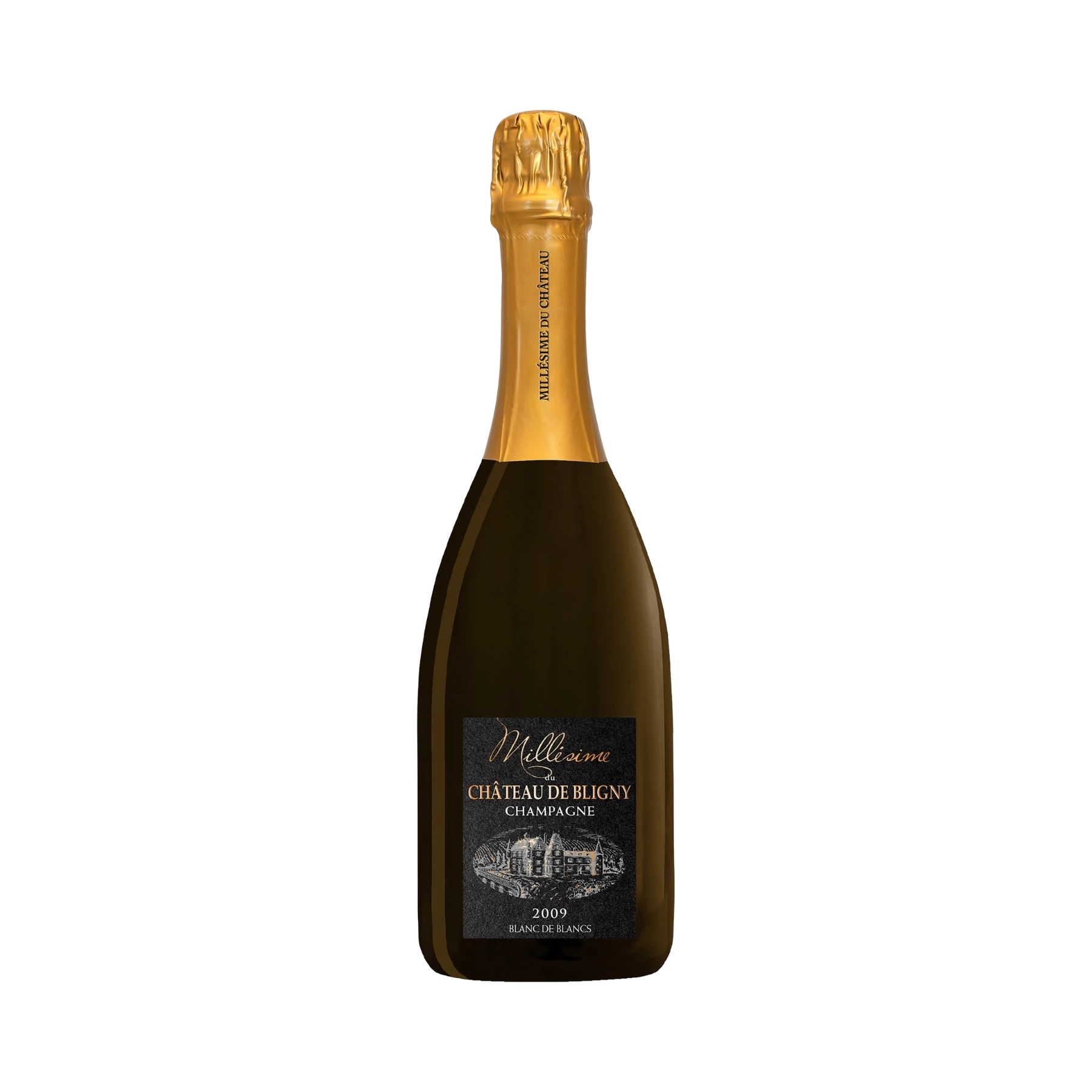 Rượu Champagne Pháp Chateau de Bligny Brut Millesime