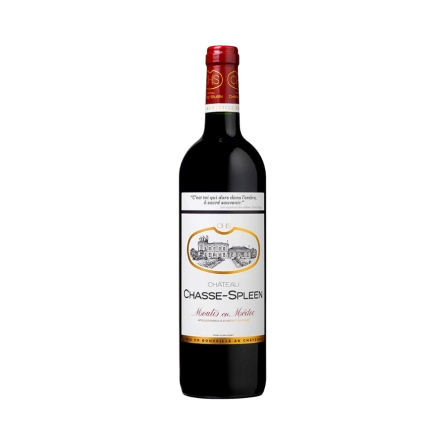 Rượu Vang Đỏ Pháp Chateau Chasse Spleen 2019