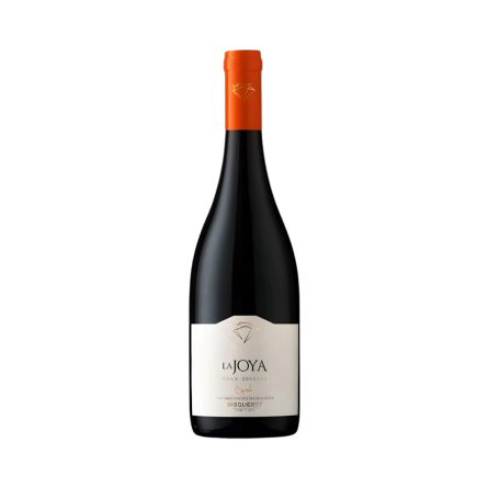 Rượu Vang Đỏ Chile Bisquertt La Joya Gran Reserva Shiraz Vegan Sustainable