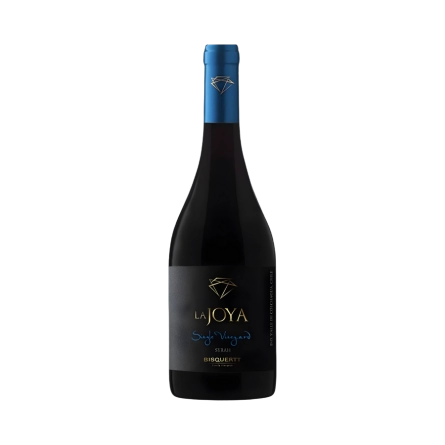 Rượu Vang Đỏ Chile Bisquertt La Joya Single Vineyard Shiraz