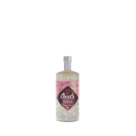Rượu Vodka Việt Nam Cheers Ginger & Honey 100ml