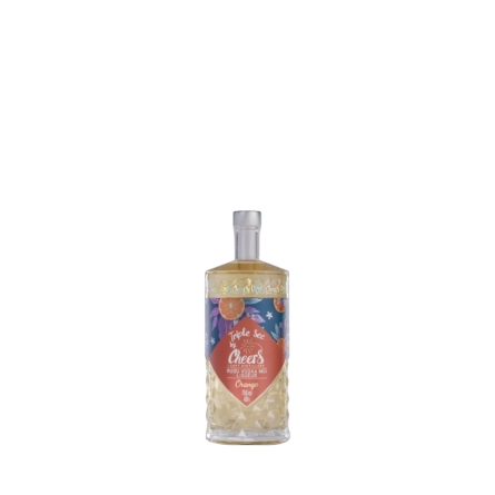 Rượu Liqueur Việt Nam Cheers Tripple Sec 100ml