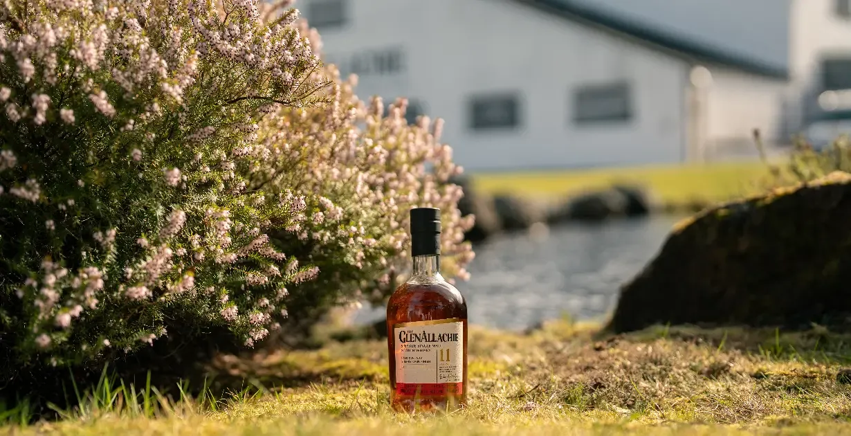 The GlenAllachie Ra Mắt Whisky Ủ Thùng Palo Cortado