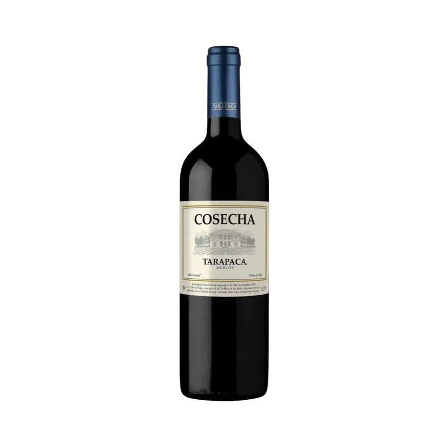 Rượu Vang Đỏ Chile Tarapaca Cosecha Merlot