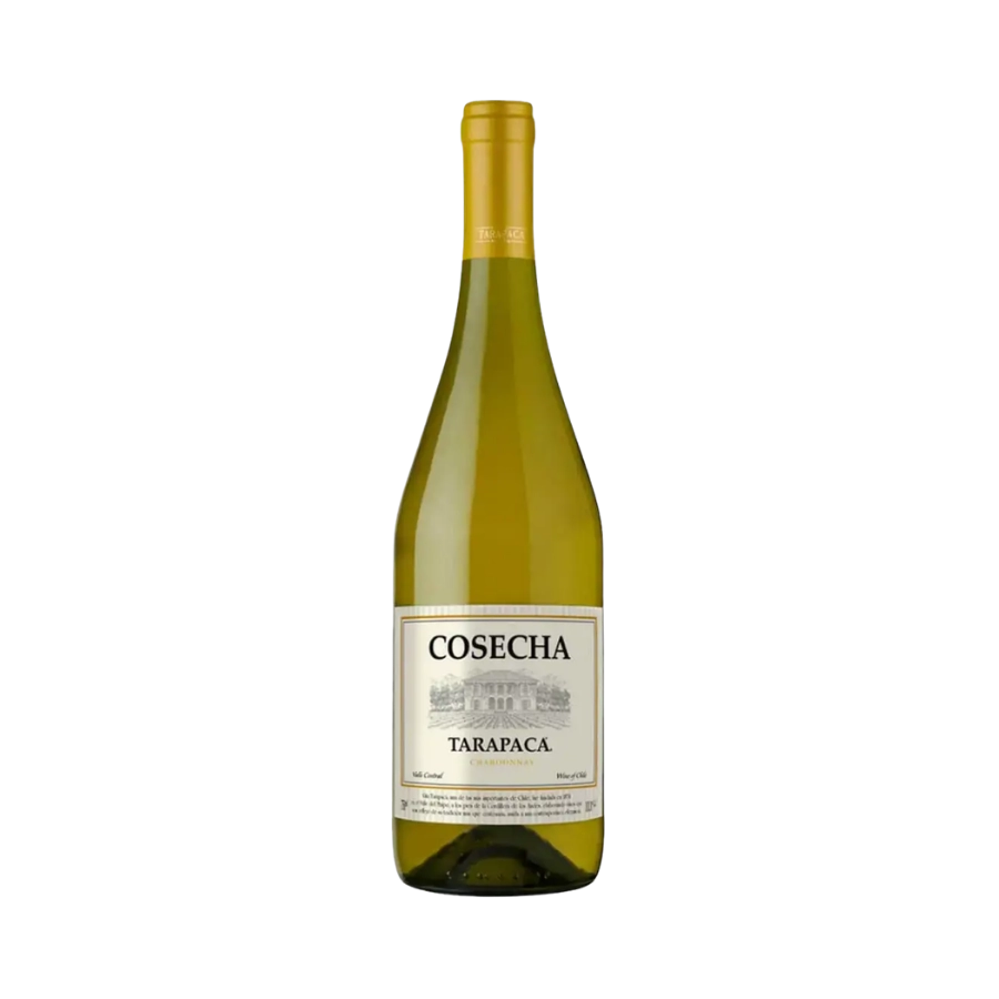 Rượu Vang Trắng Chile Tarapaca Cosecha Chardonnay 