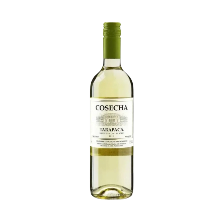 Rượu Vang Trắng Chile Tarapaca Cosecha Sauvignon Blanc