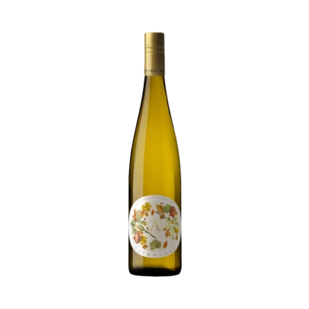 Rượu Vang Trắng New Zealand Astrolabe Marlborough Pinot Gris