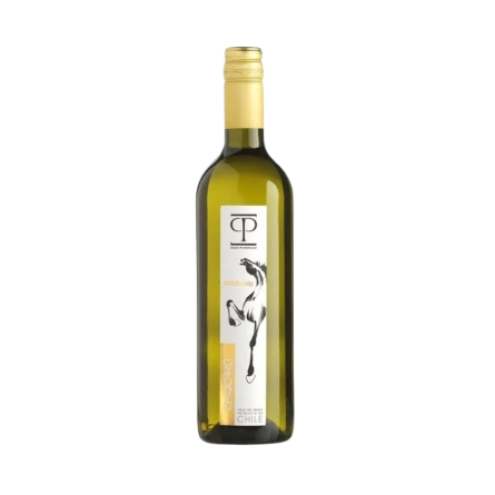Rượu Vang Trắng Chile Chucaro Chardonnay