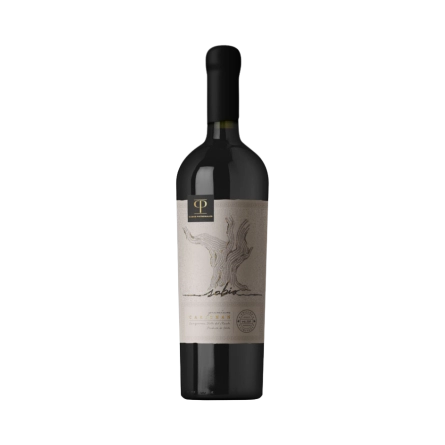 Rượu Vang Đỏ Chile Casas Patronales Sabio Carignan