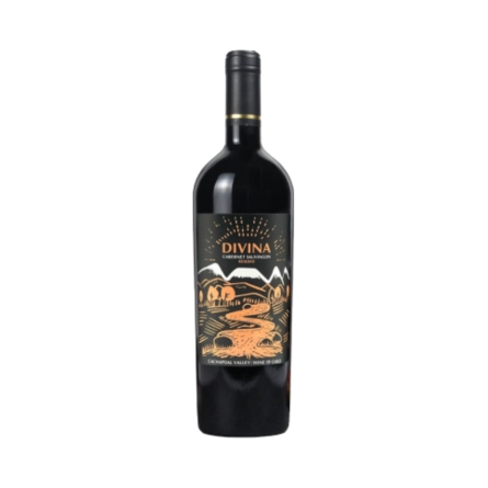Rượu Vang Đỏ Chile Divina